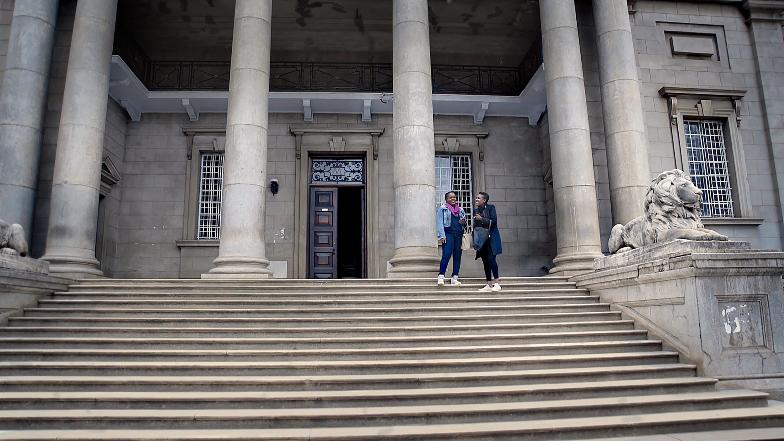 How to build a library documentario