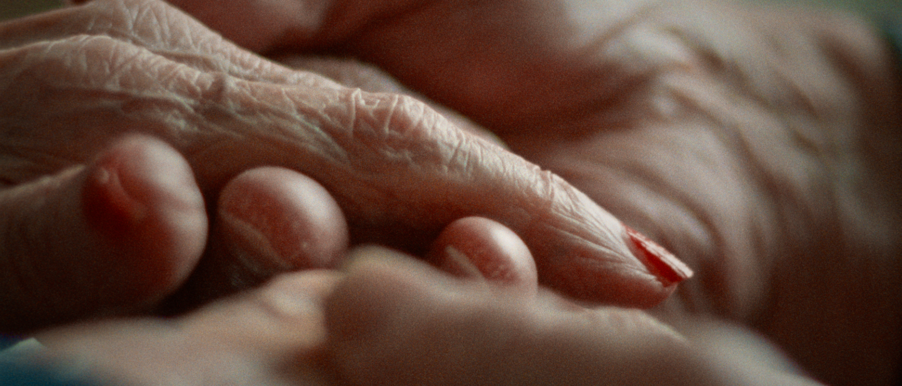 In concorso alla 66ª edizione del Festival dei Popoli, concorre il nuovo documentario di Yrsa Roca Fannberg, 'The ground beneath our feet'