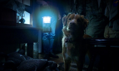 good boy in streaming