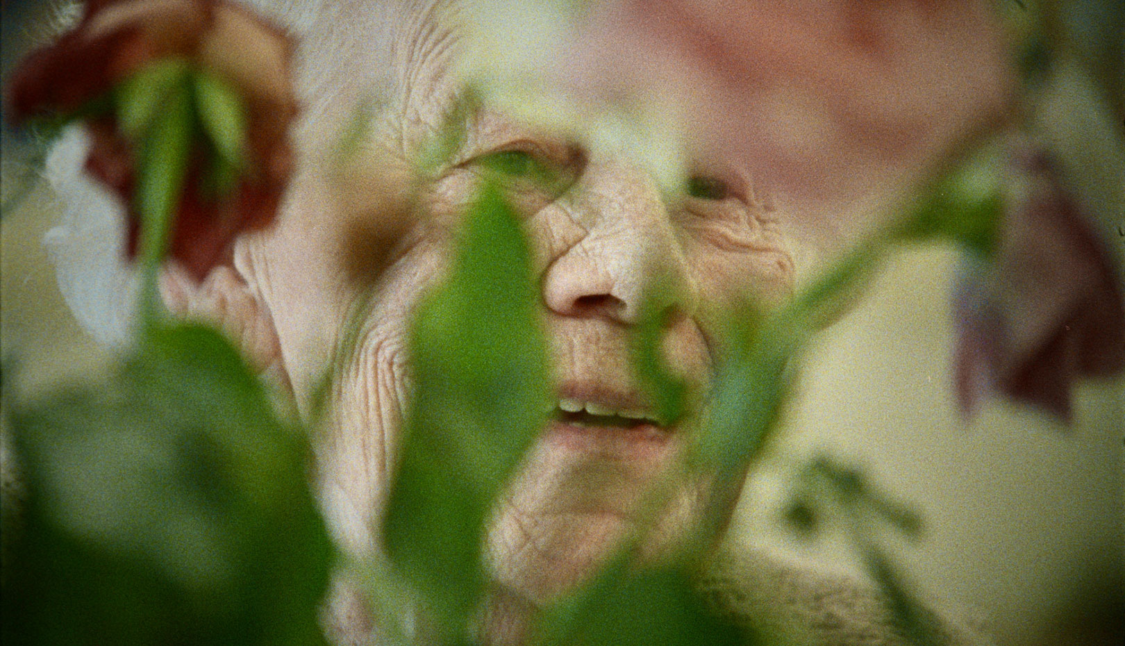 In concorso alla 66ª edizione del Festival dei Popoli, concorre il nuovo documentario di Yrsa Roca Fannberg, 'The ground beneath our feet'