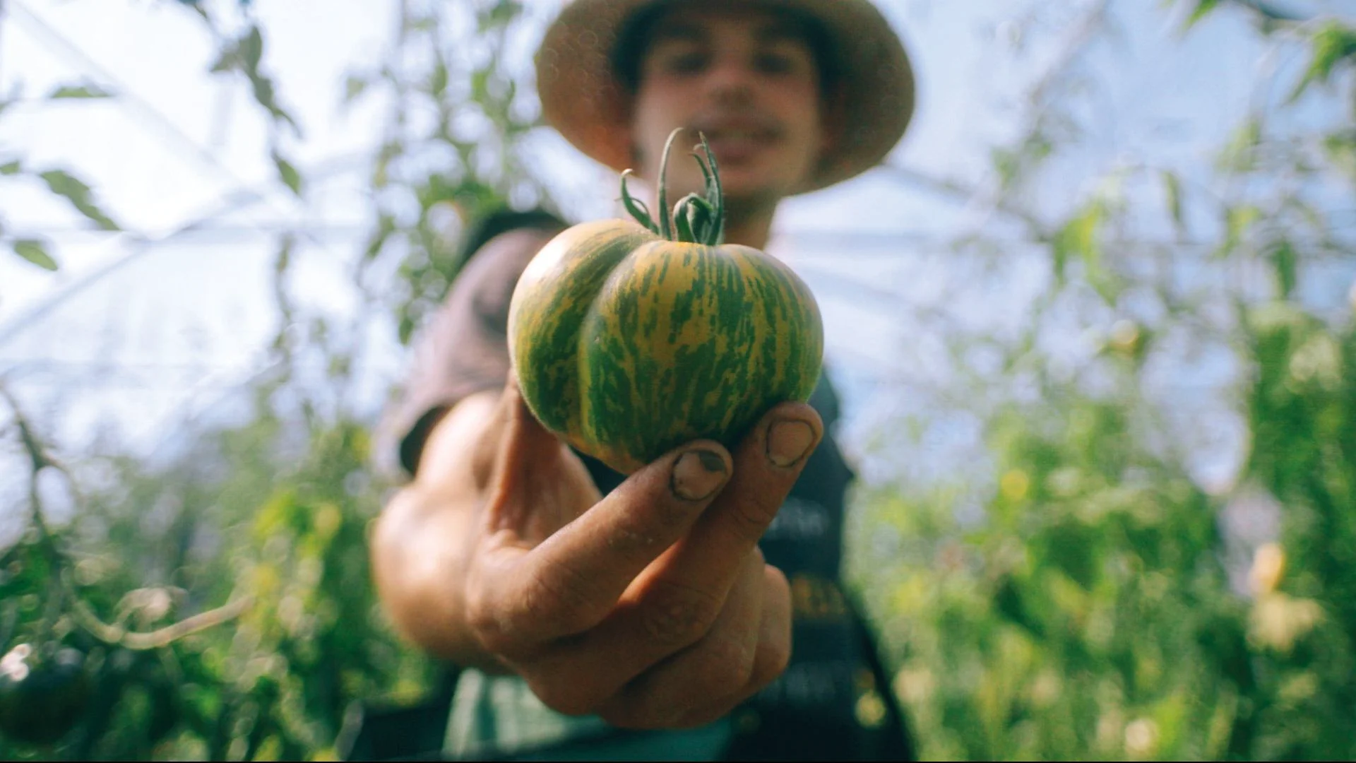 Una lunga tradizione di agricoltura alpina sta subendo un cambiamento radicale: l'approccio con la modernità narrato in un film documentario.