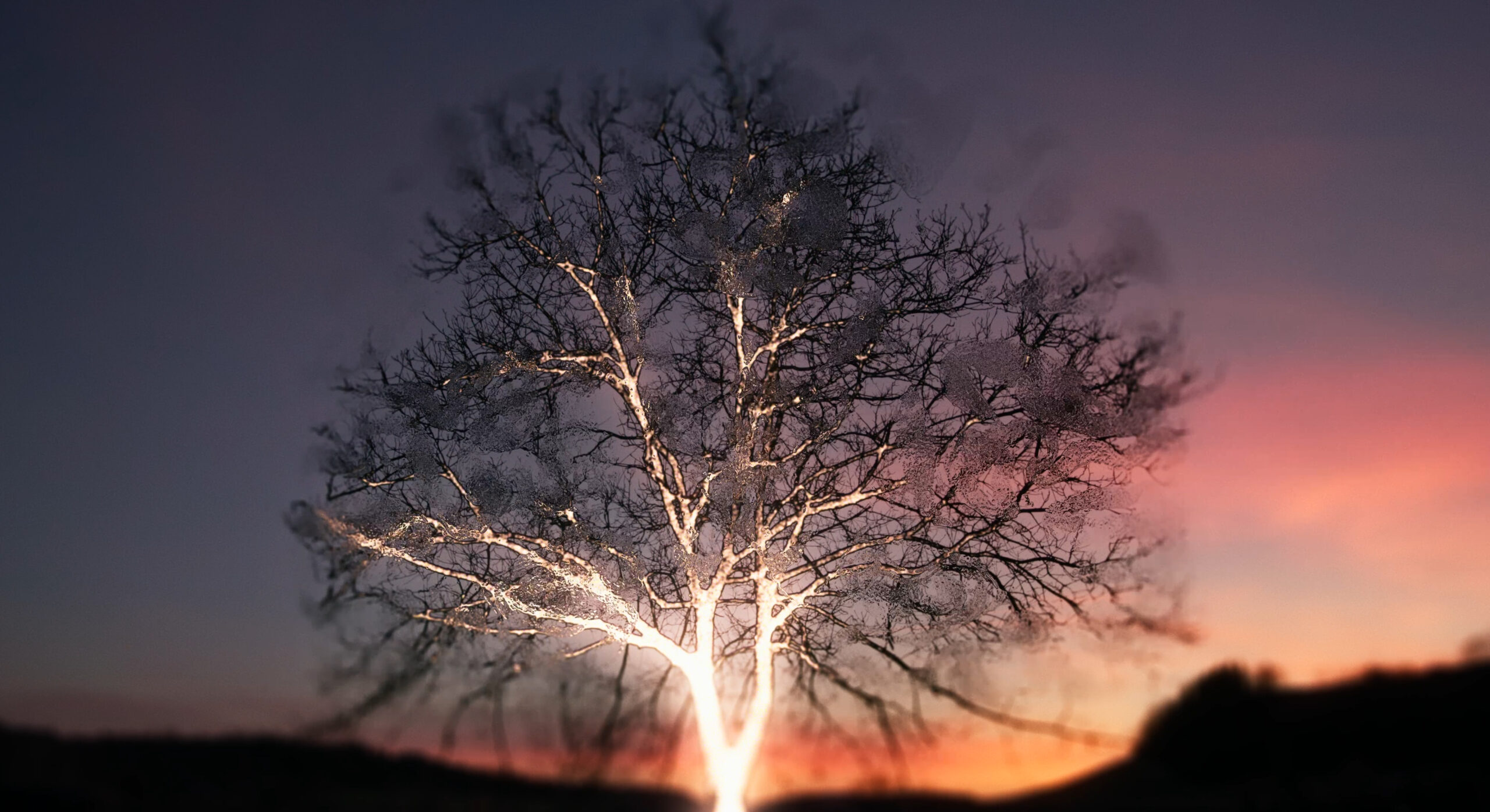 Valerio Jalongo racconta 'Wider than the sky' un viaggio nell'AI, presentato alla 20esima edizione della Festa del Cinema di Roma