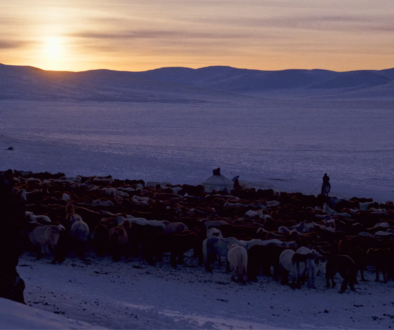 Iron Winter è un documentario del regista australiano kasimir Burgess. Presentato in concorso al Torino Film Festival.