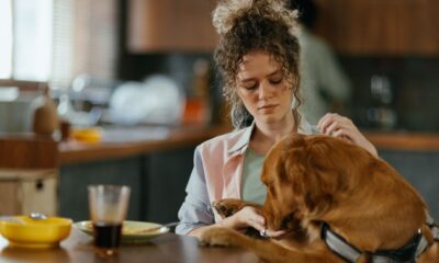 'Collar' di Pouyan Ramezanpour esplora il legame tra una figlia e la madre in una Teheran divisa tra libertà e tradizione. Delicato e potente