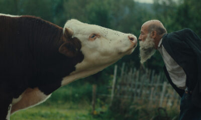 Better Go Mad in the Wild