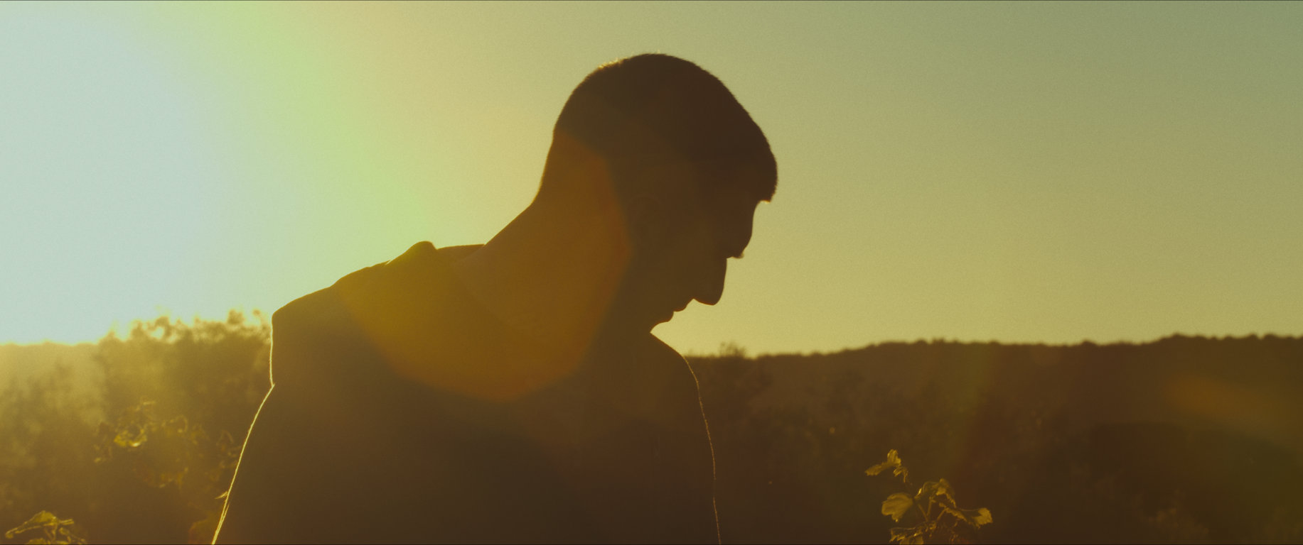 daniele gaglianone cumpartia