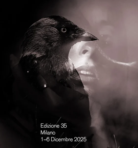 Noir in Festival 35ª edizione