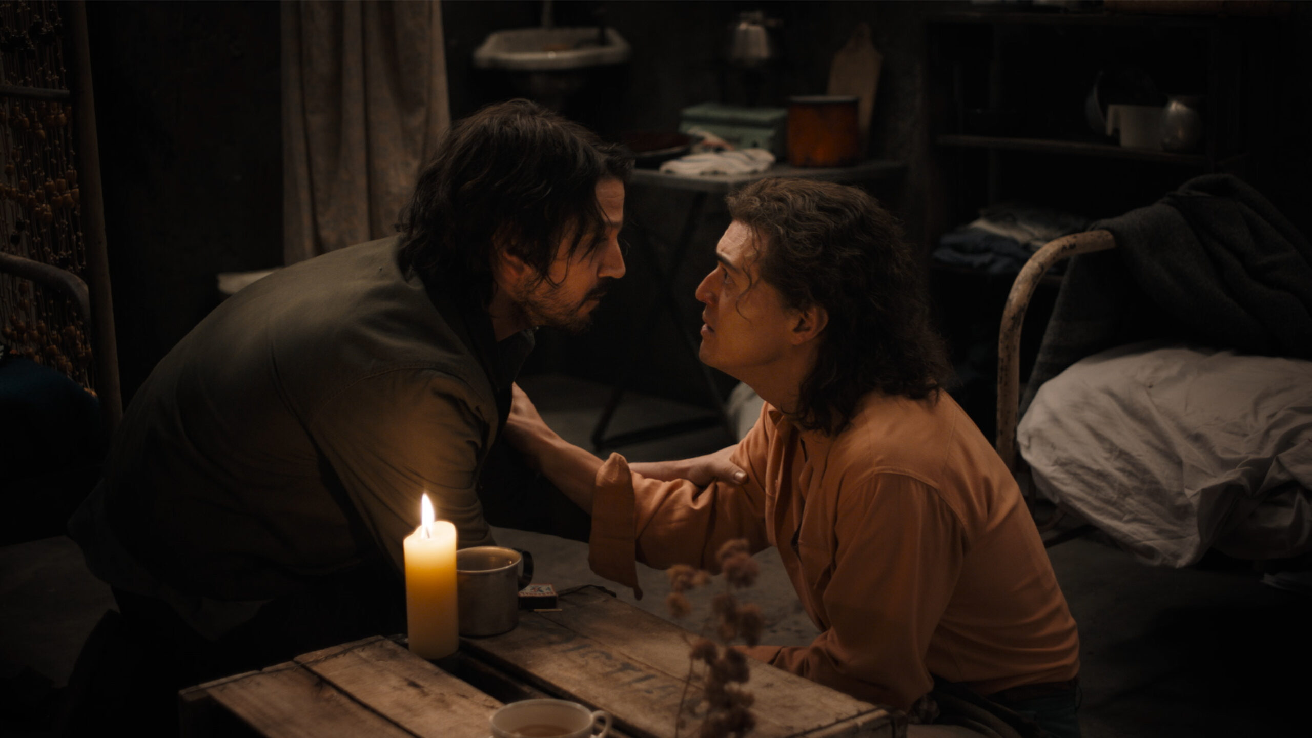 kiss of the spider woman