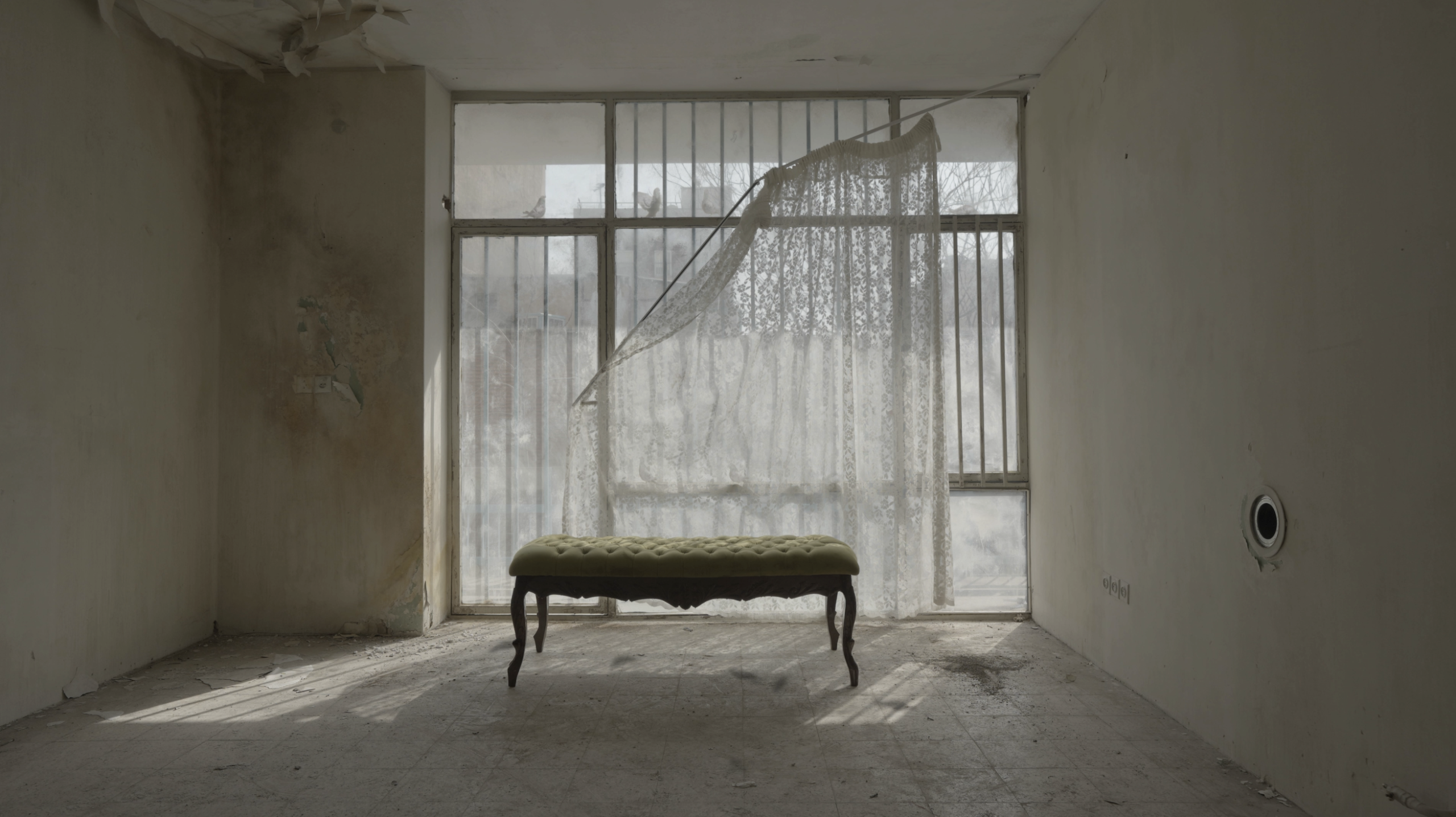 Gli uccelli del Monte Qaf