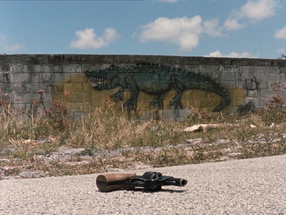 River of Grass di Kelly Reichardt raccontato attraverso la voce inaffidabile di Cozy e il divario tra fantasia e realtà.