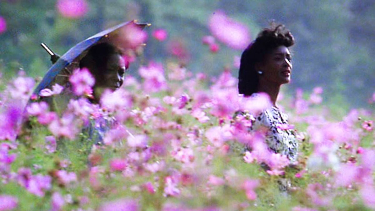 'Il colore viola' il film del 1985 di Steven Spielberg è un film fondamentale sul riscatto femminile e la sisterhood afroamericana. 