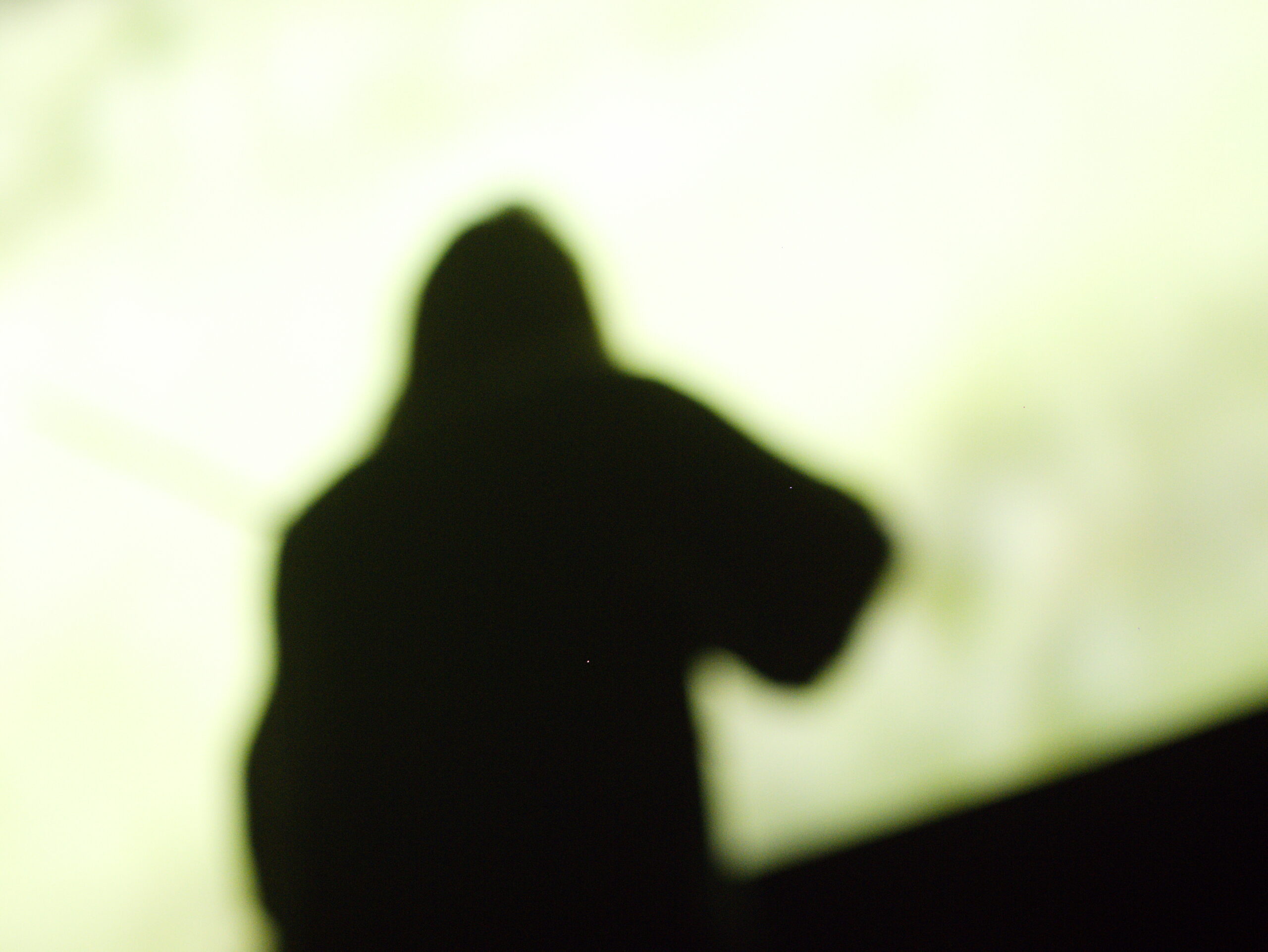 Alla primissima edizione di Ultracinema Art Festival a Ferrara il violinista Alessandro Trabace improvvisa su 'La Fine' di Daniele Cabri