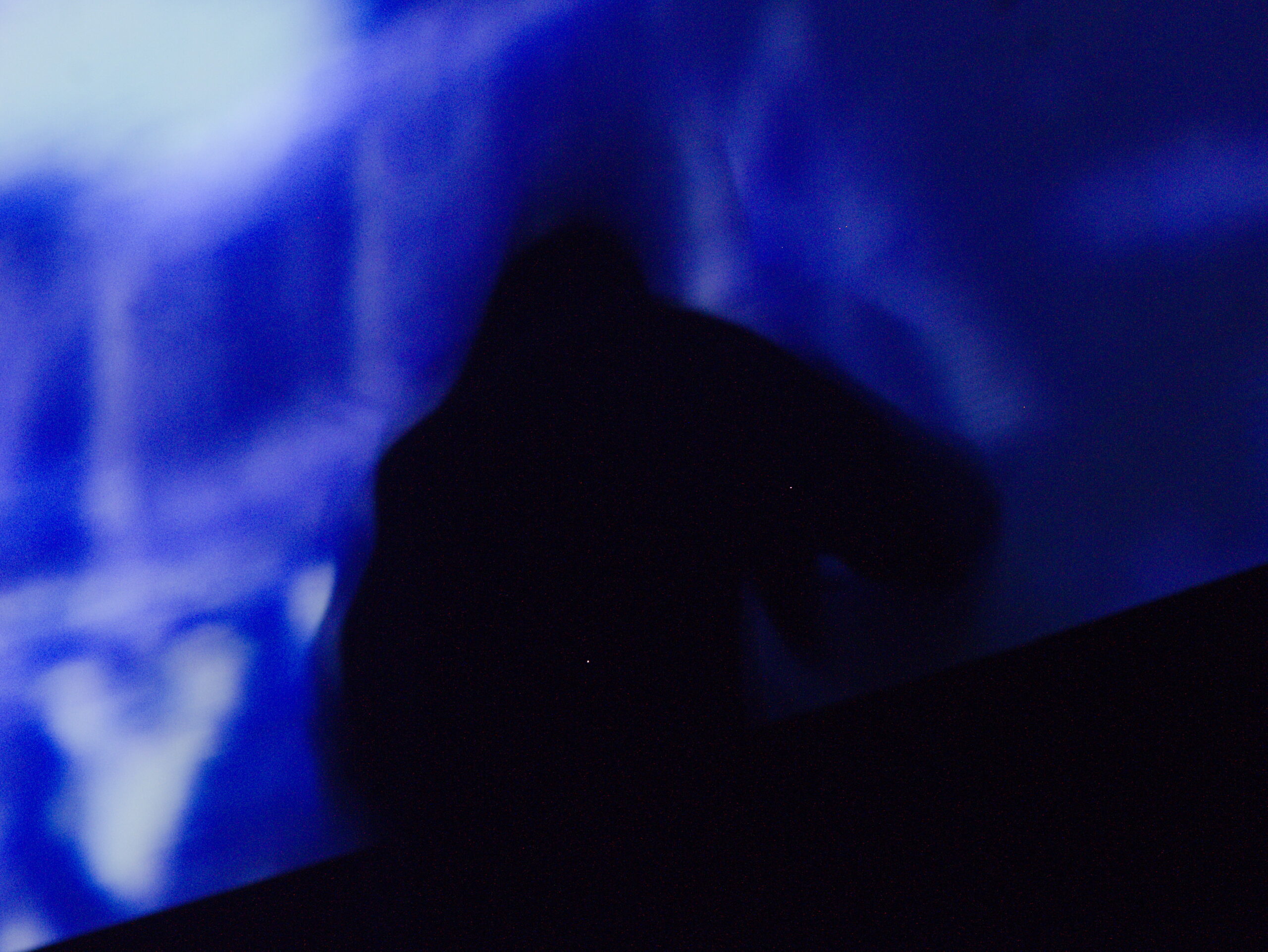 Alla primissima edizione di Ultracinema Art Festival a Ferrara il violinista Alessandro Trabace improvvisa su 'La Fine' di Daniele Cabri