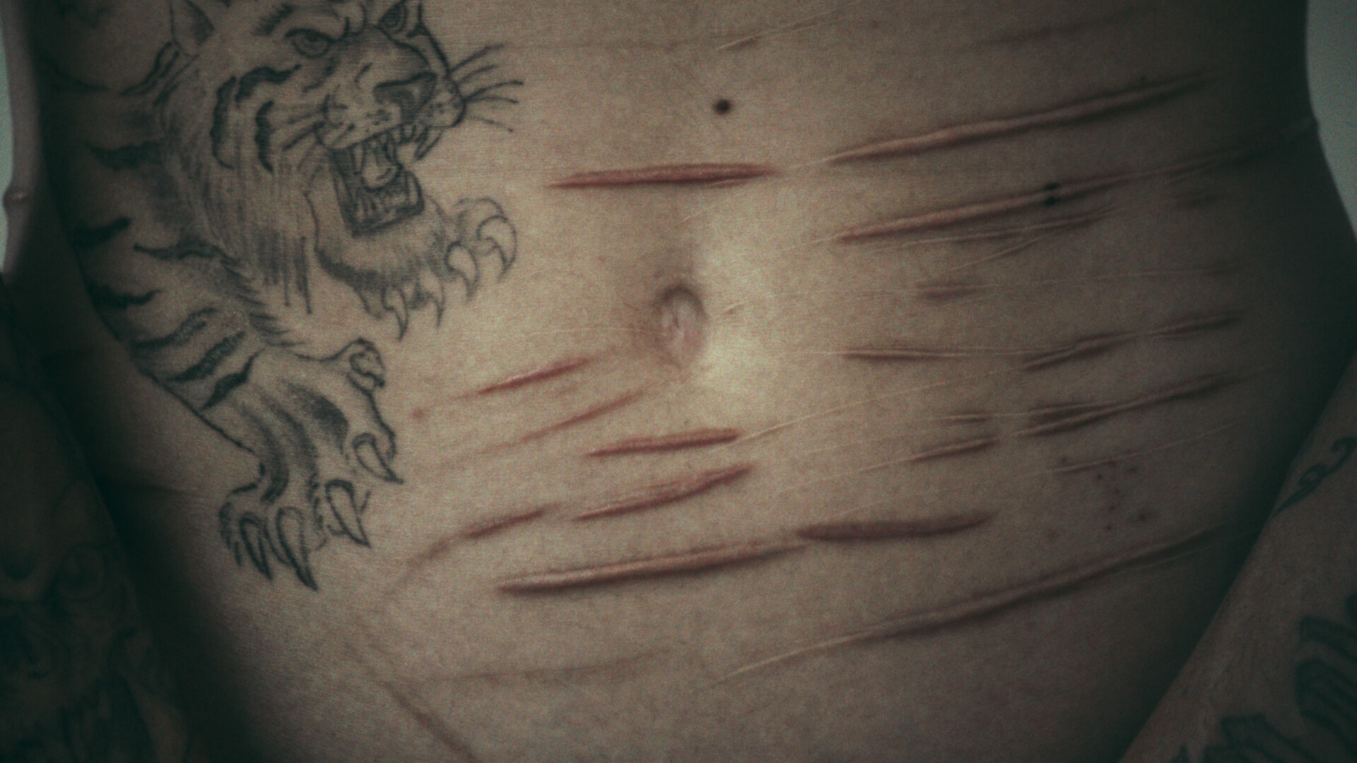 Va a El pütì pèrs di Paolo Baiguera (Italia, 2025) il Premio Ermanno Olmi destinato a promuovere e valorizzare i cortometraggi di giovani registi.