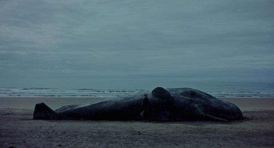 Creature dal profondo