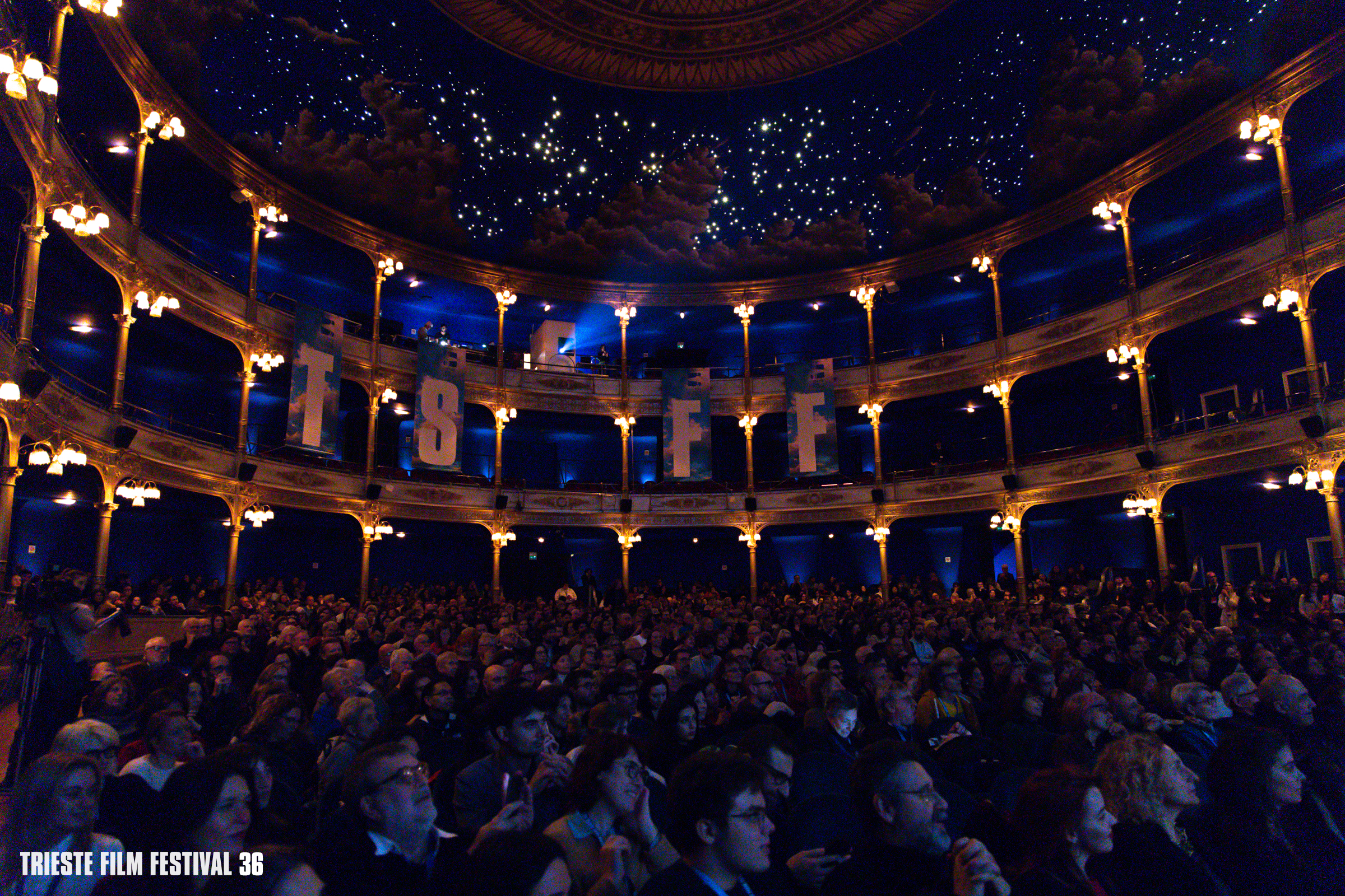 Trieste Film Festival