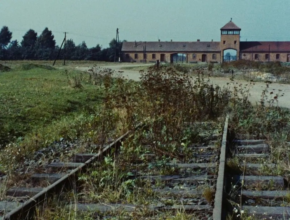 Shoah cinema