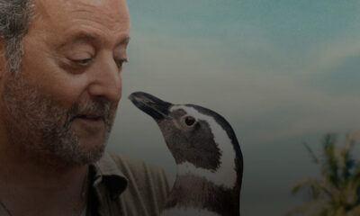 'Il mio amico pinguino': una storia vera raccontata senza lacrime programmate, tra silenzi, mare e una malinconia che resta