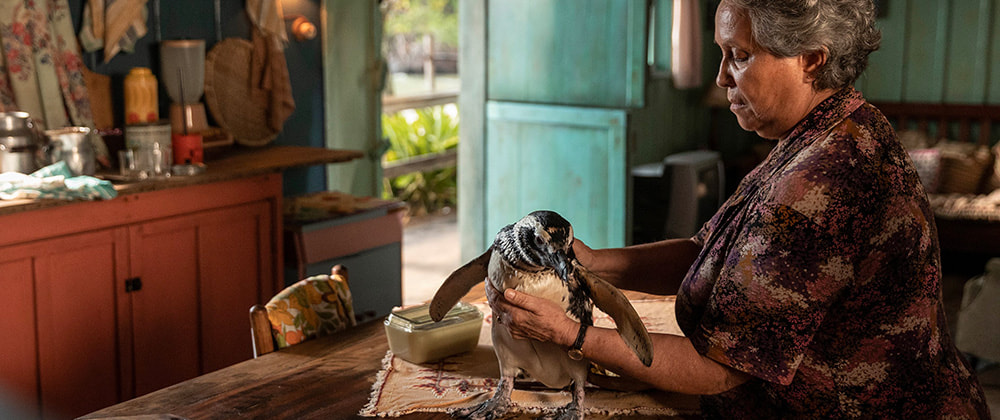 'Il mio amico pinguino': una storia vera raccontata senza lacrime programmate, tra silenzi, mare e una malinconia che resta