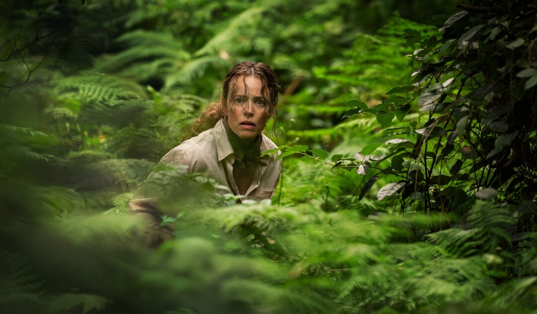 'Send Help' è il nuovo film diretto da Sam Raimi. L'horror satirico che fa riflettere e che ride del macabro