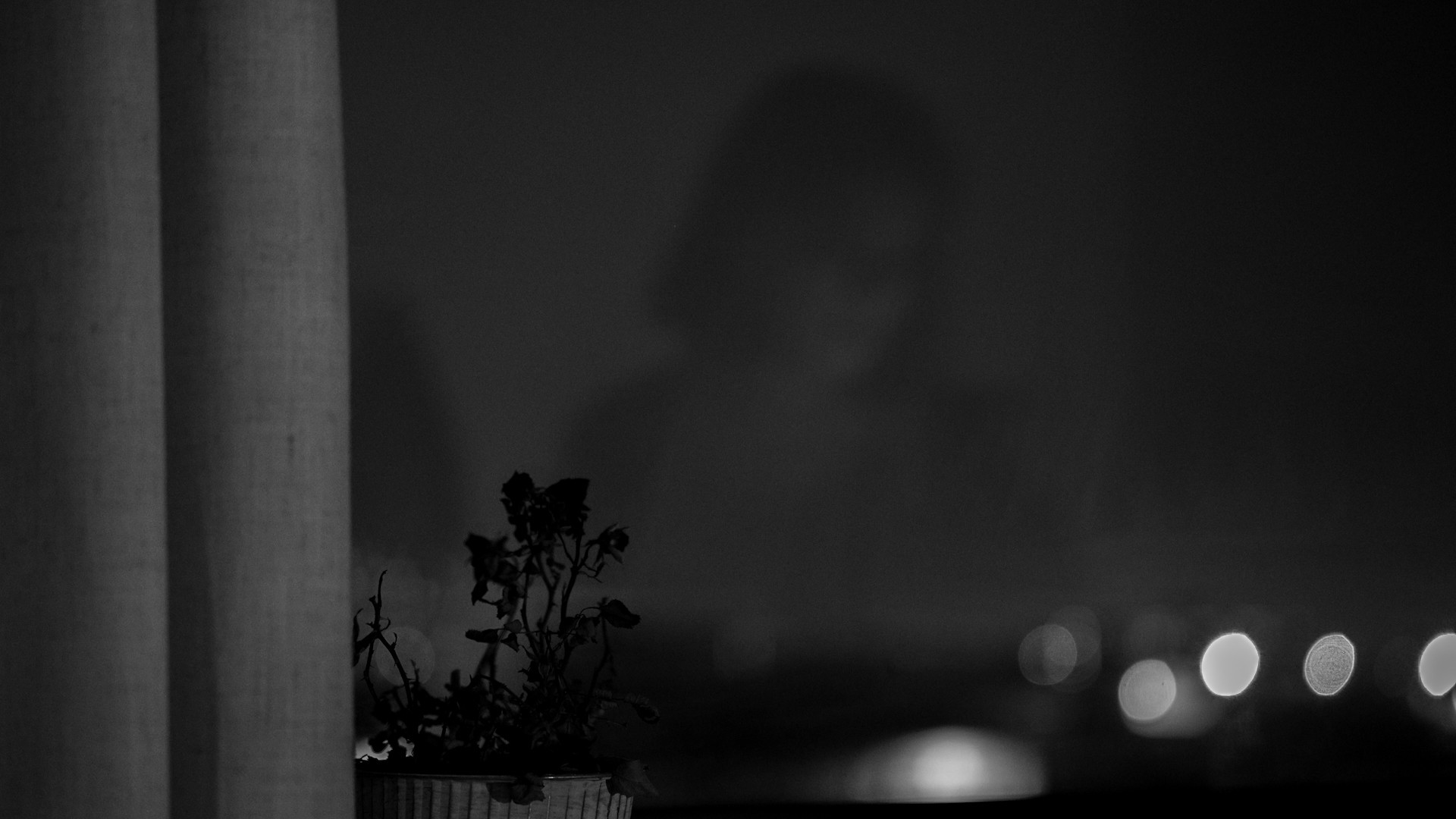 Orso di Cristallo ai Generation Awards 2026 