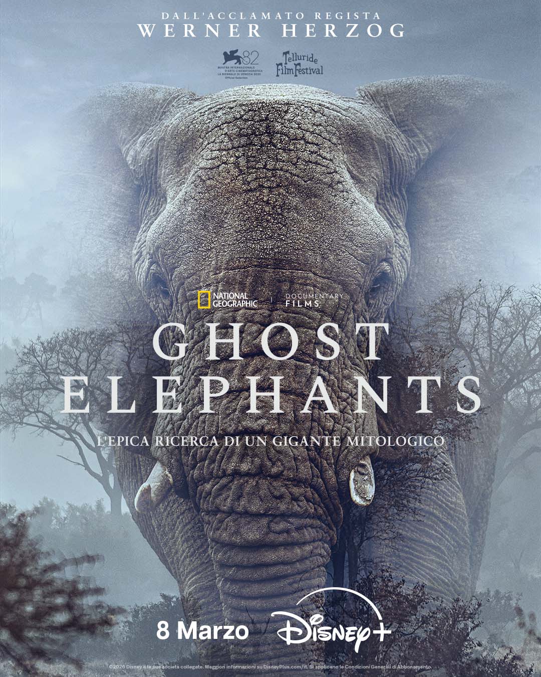 'Ghost Elephants' il documentario di National Geographic Documentary Films scritto, diretto e narrato da Werner Herzog