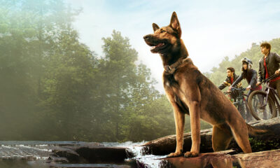 Torna su Netflix la commovente storia di 'Max', un eroe a quattro zampe sopravvissuto alla guerra, che ritrova la fiducia con un nuovo amico