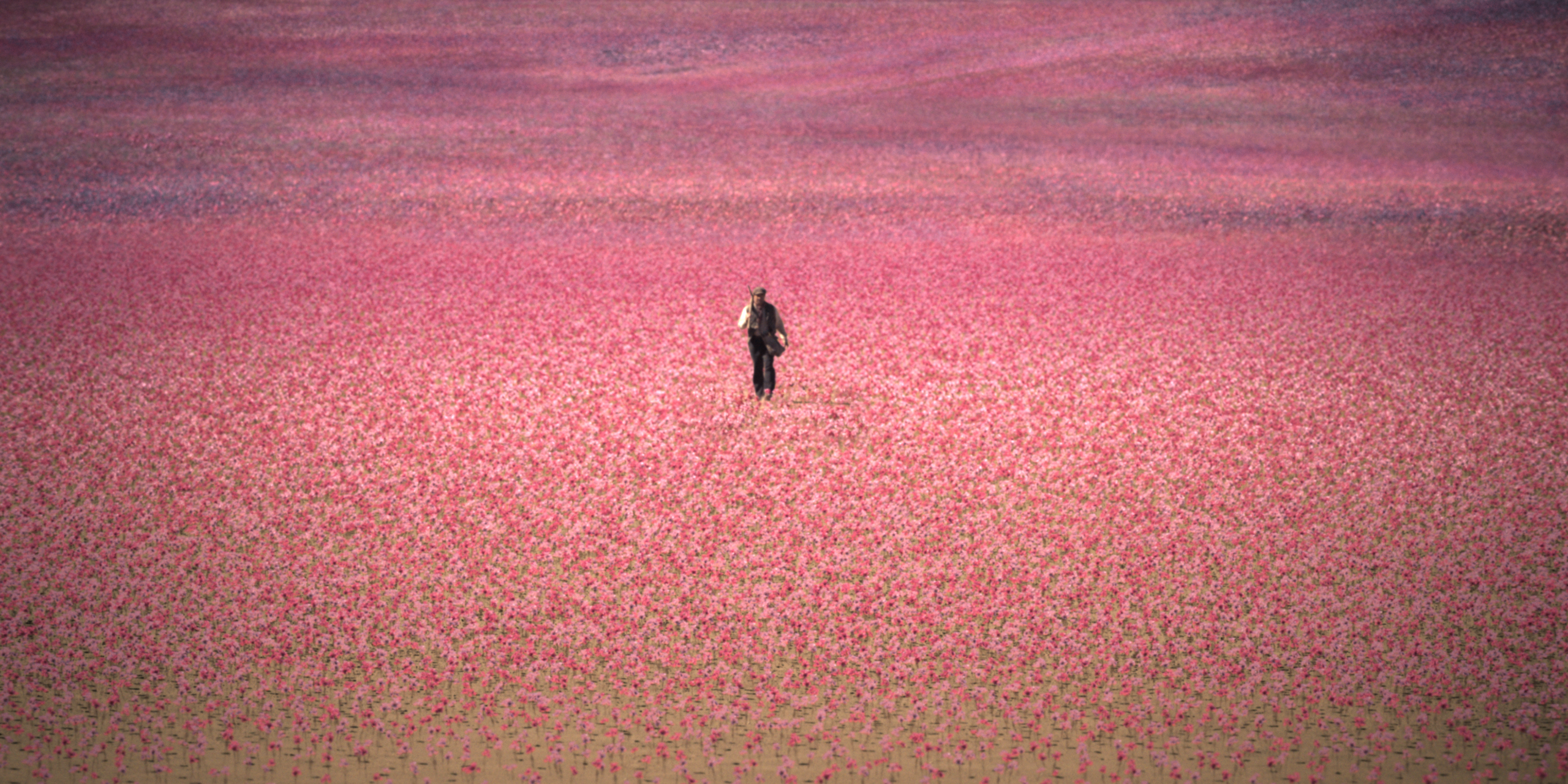 'La casa degli spiriti', il primo adattamento seriale in lingua spagnola del celebre romanzo di Isabel Allende