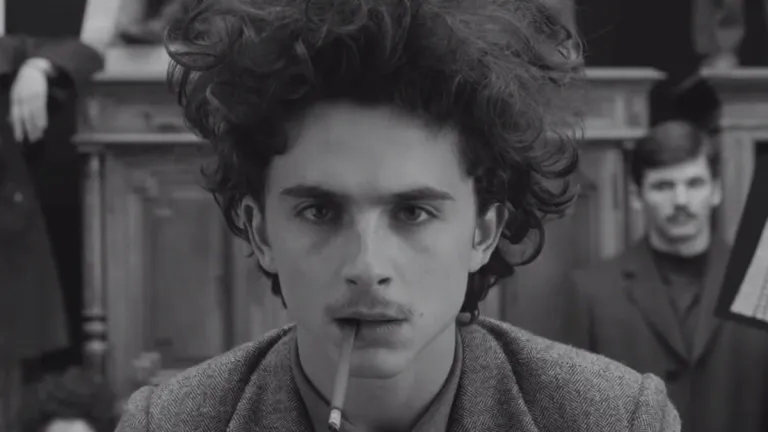 Wes Anderson netflix