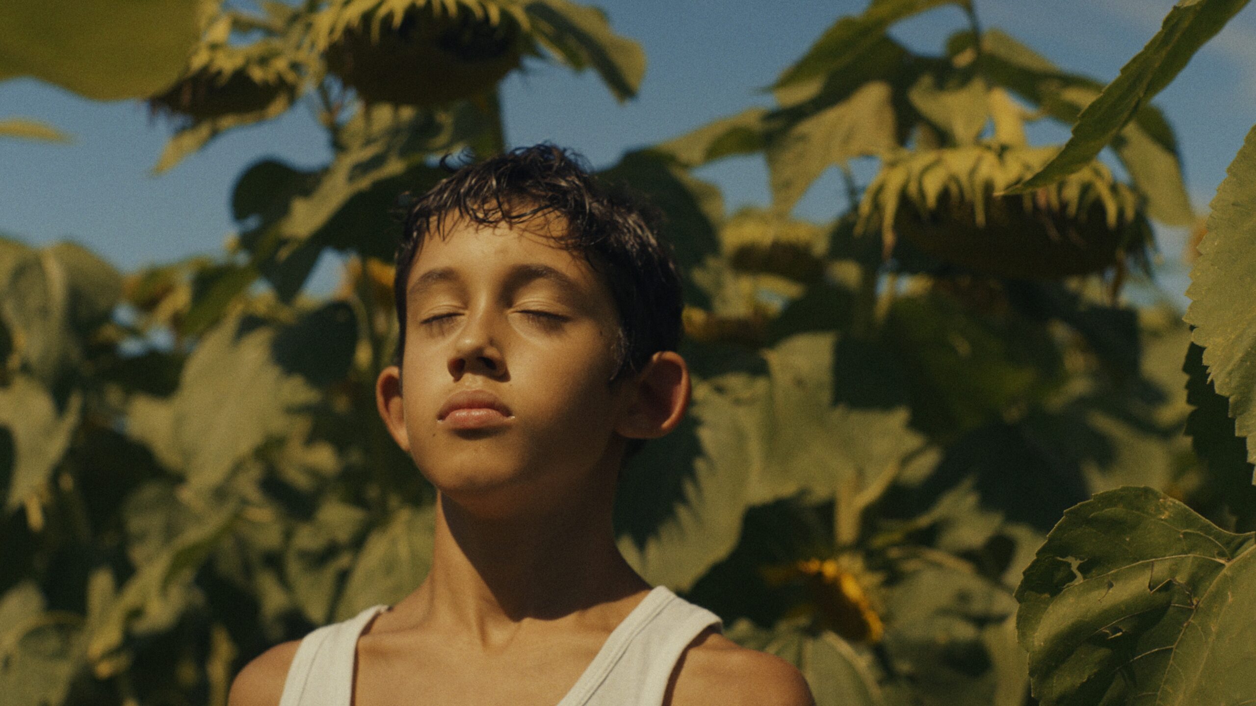 I fiori non hanno le scarpe