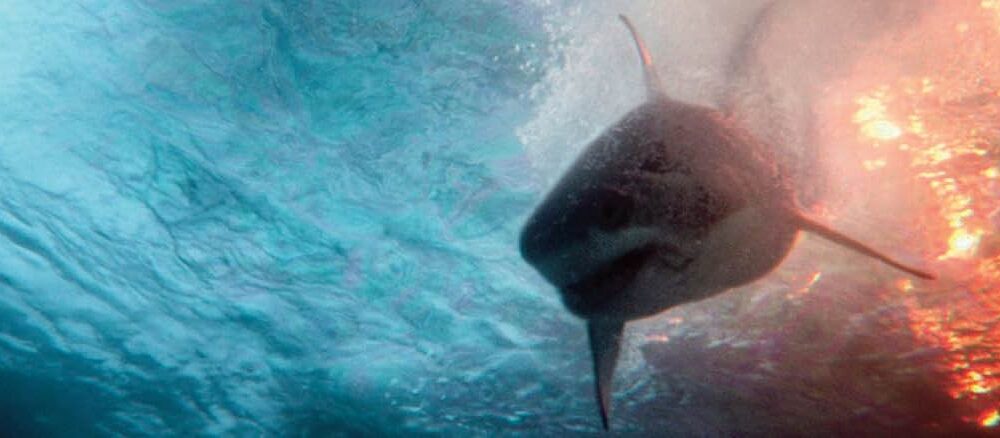 trailer di 'Deep Water'