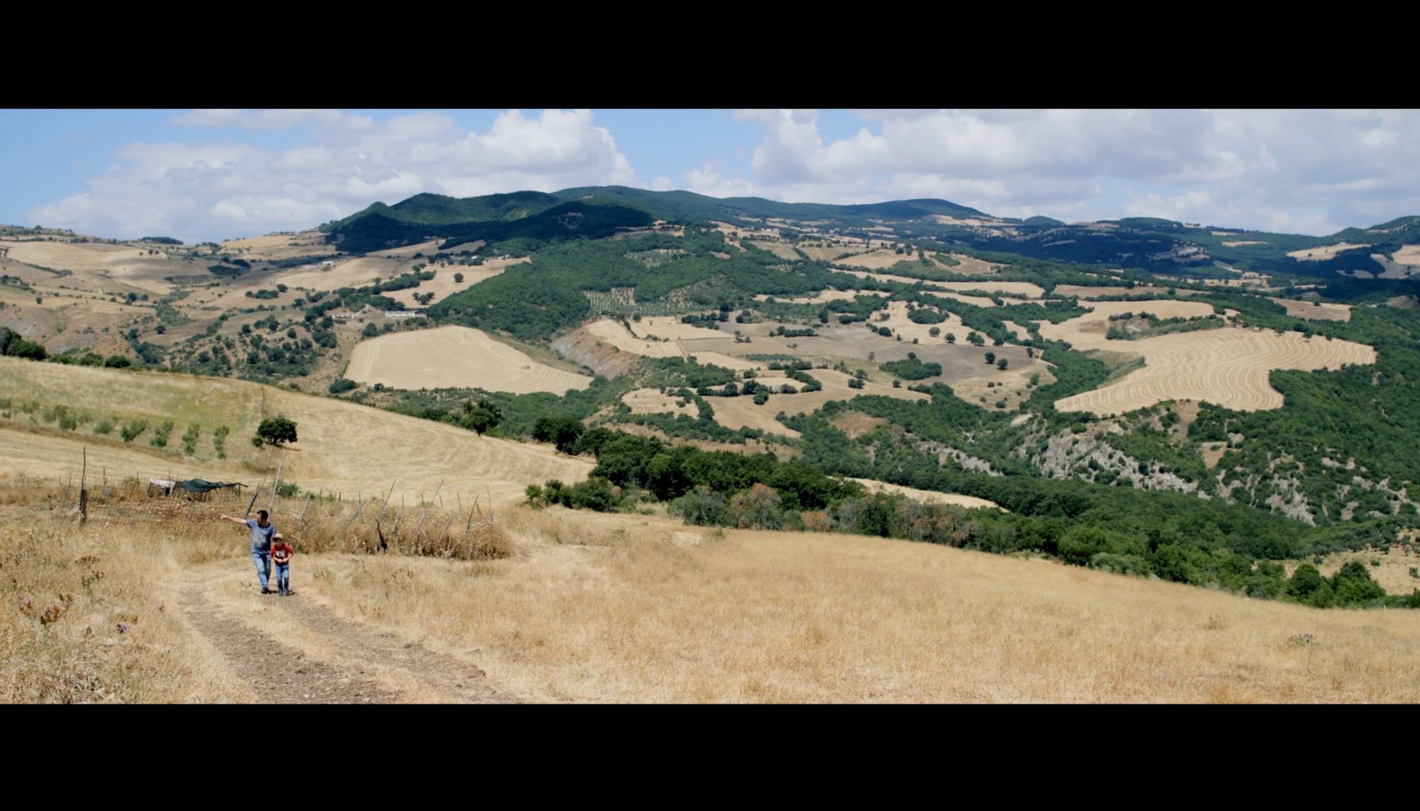 devozioni gianfranco pannone