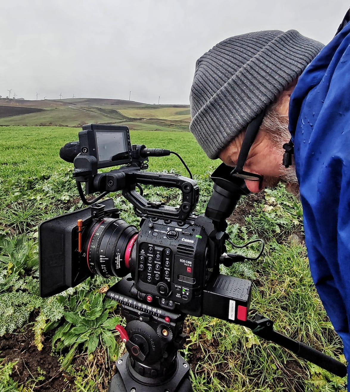 devozioni gianfranco pannone