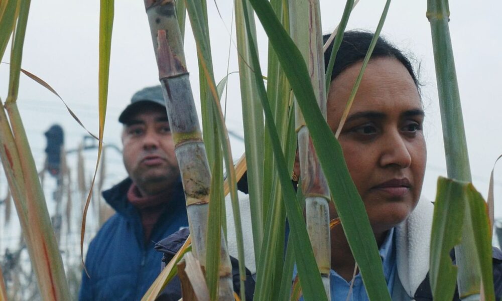 Bolzano Film Festival Catalogna