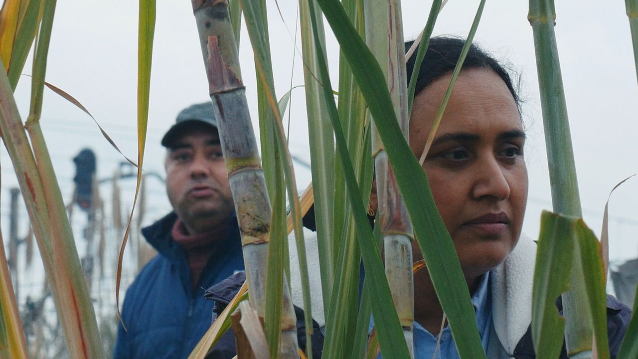 Bolzano Film Festival Catalogna