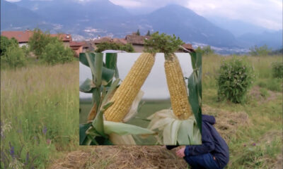'Mais In festa! Rituali per la decolonizzazione agricola'
