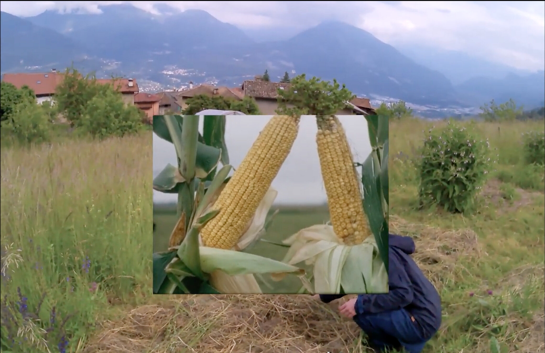 'Mais In festa! Rituali per la decolonizzazione agricola'