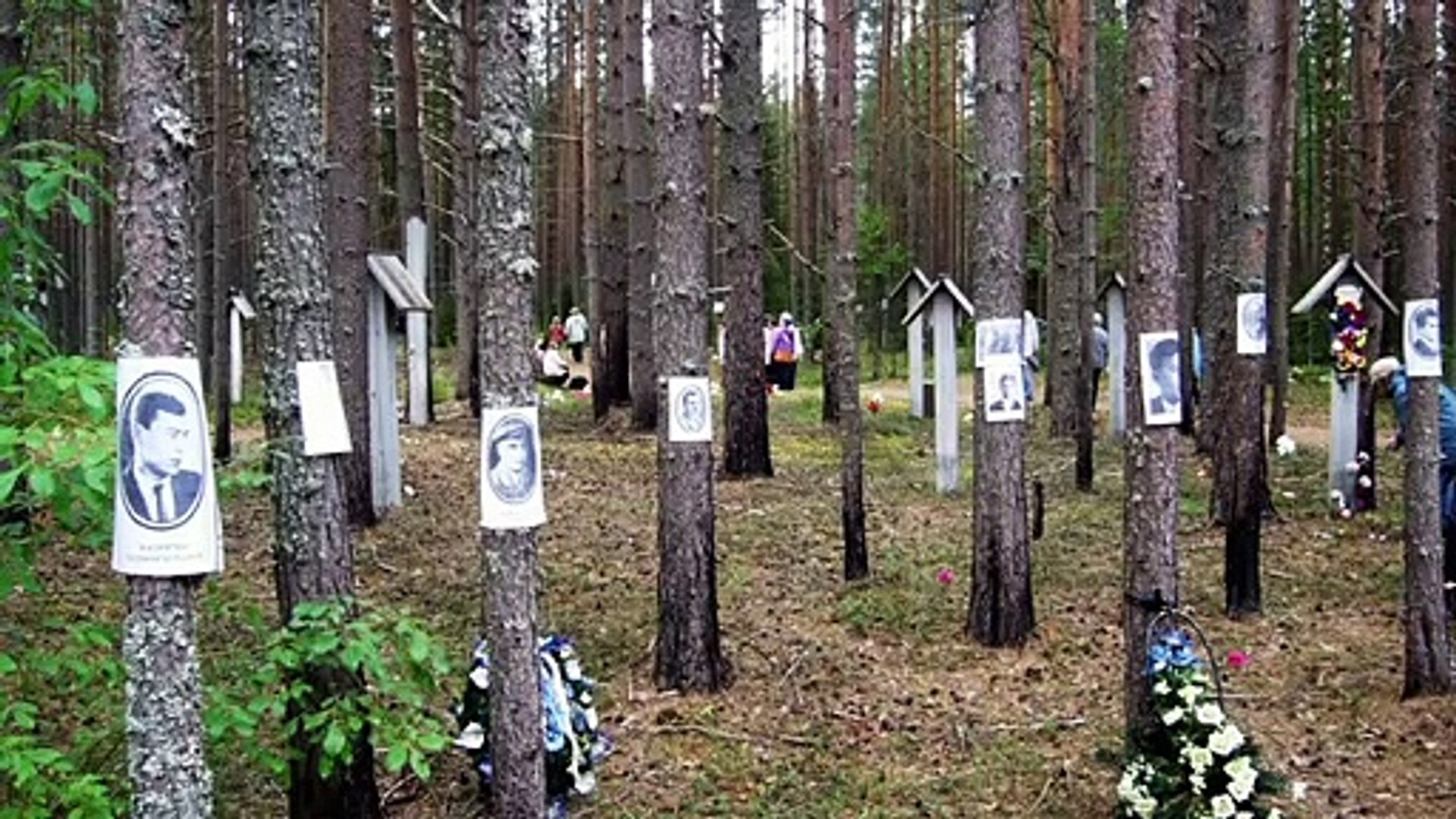 Carelia: Internacional Con Monumento