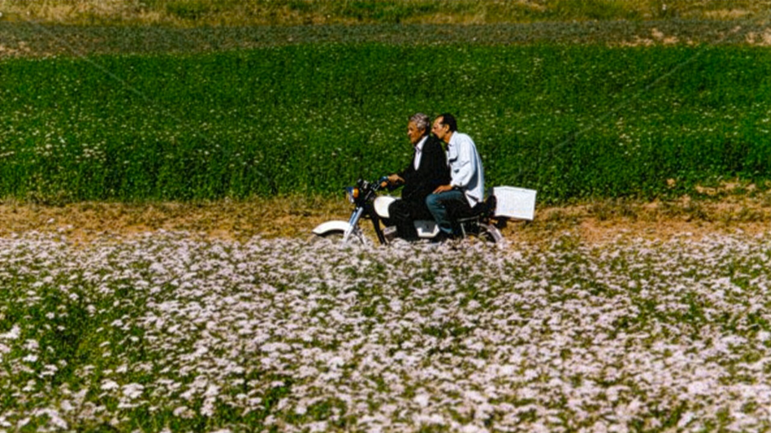 Il vento ci porterà via abbas kiarostami 1999 film mubi
