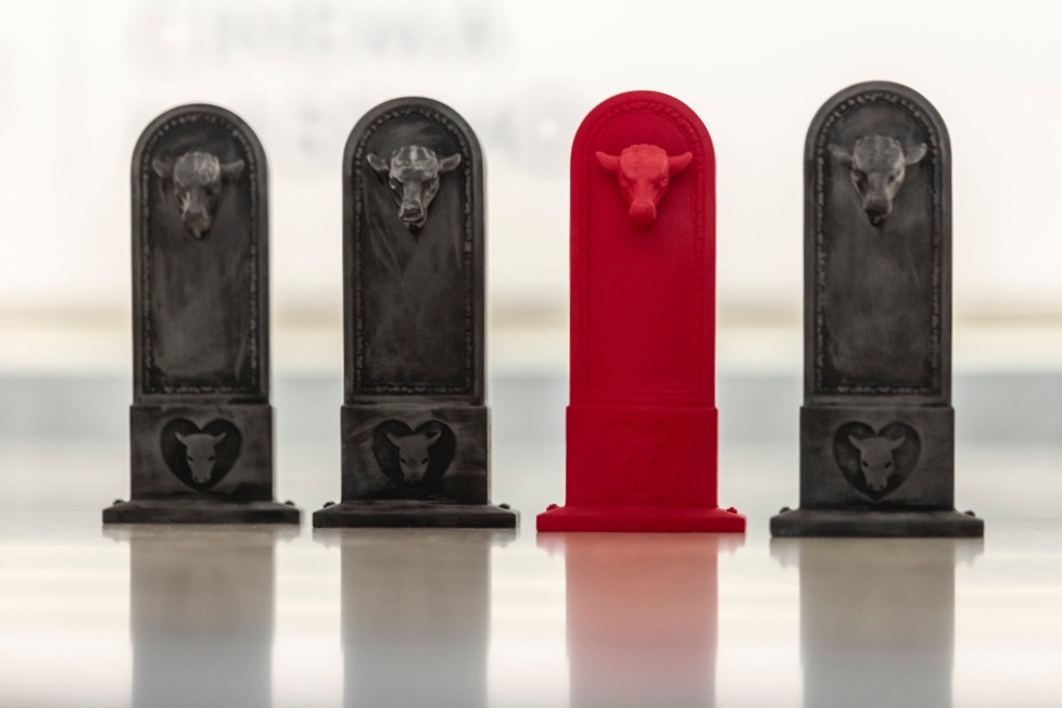 Glocal Film Festival