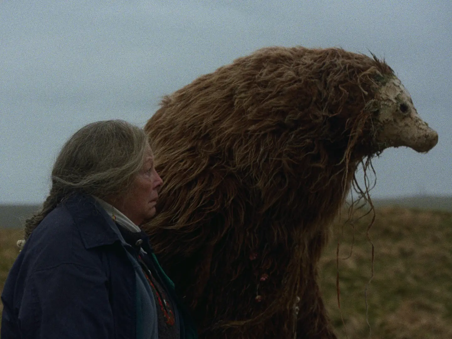 'A Bear Remembers' al Trento Film Festival intreccia mito, memoria culturale e identità in un corto evocativo