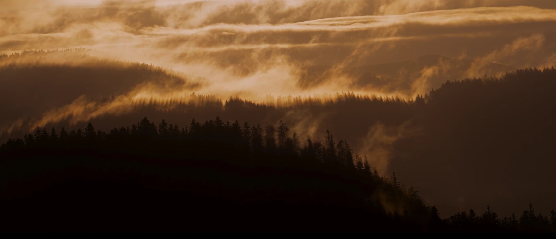 'Le chant des fôrets' di Vincent Munier è stato presentato in concorso alla 74ª edizione del Trento Film Festival