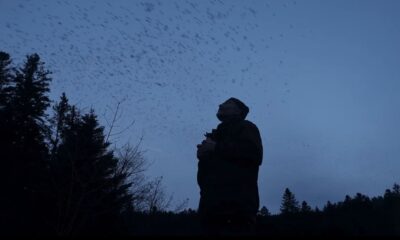 'Le chant des fôrets' di Vincent Munier è stato presentato in concorso alla 74ª edizione del Trento Film Festival