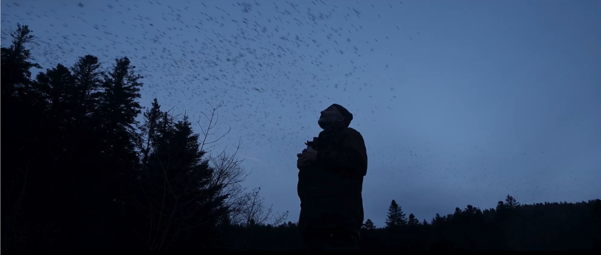 'Le chant des fôrets' di Vincent Munier è stato presentato in concorso alla 74ª edizione del Trento Film Festival