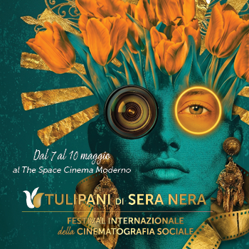  Festival Tulipani di seta nera