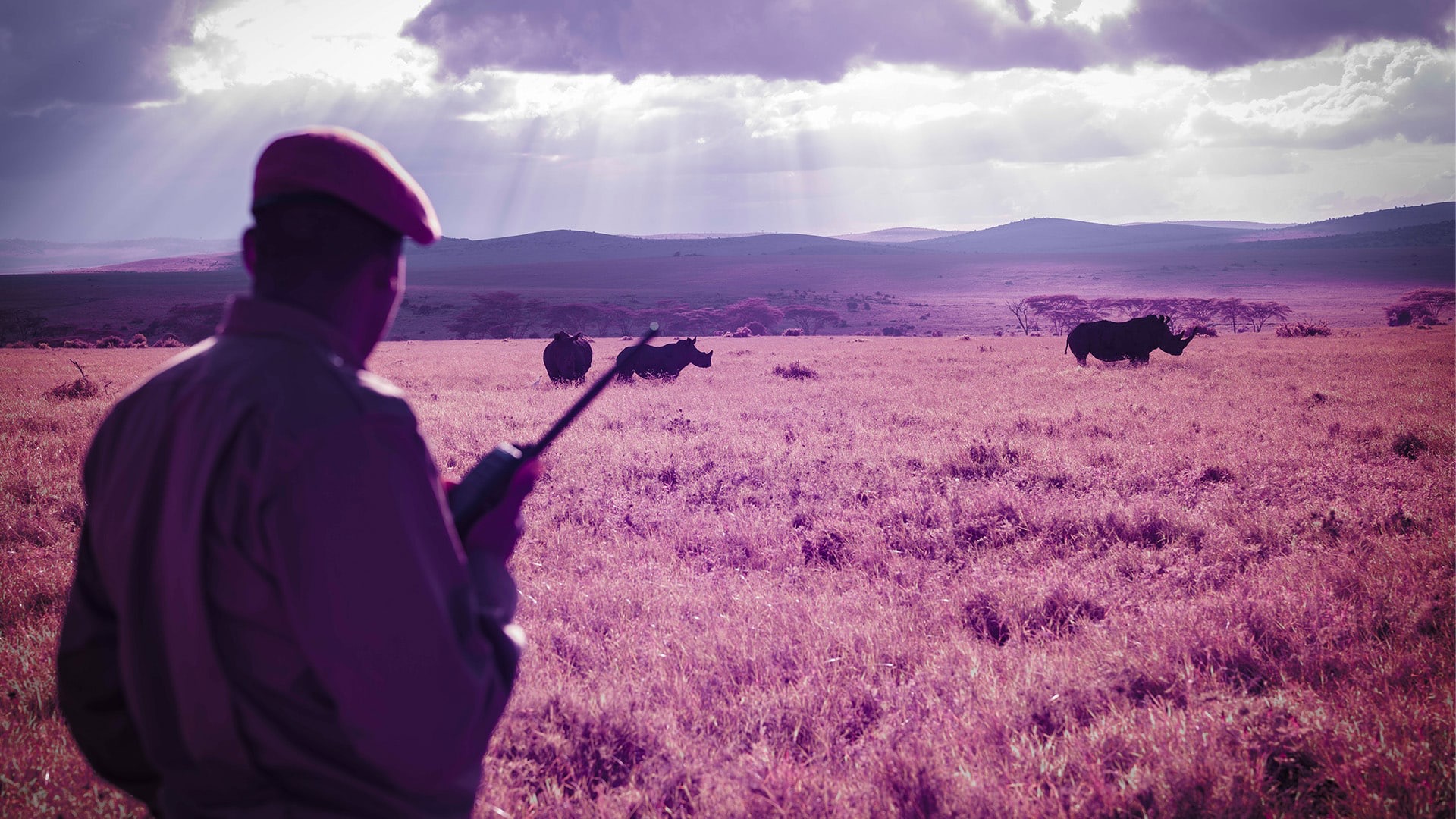 'Rhino' al Riviera International Film Festival: un documentario potente sui ranger del Kenya tra bracconaggio, natura e dignità umana