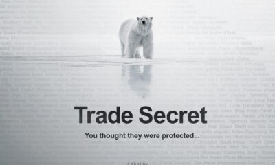 'Trade Secret' di Abraham Joffe al Riviera International Film Festival: sei anni di inchiesta sul commercio internazionale degli orsi polari