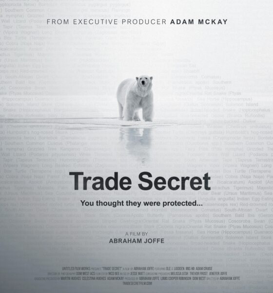 'Trade Secret' di Abraham Joffe al Riviera International Film Festival: sei anni di inchiesta sul commercio internazionale degli orsi polari