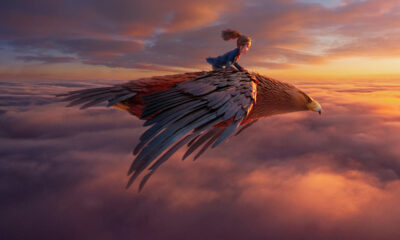 Wildwood-film-animato-Studio-Laika