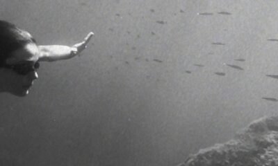 frammenti terrestri offerti alla luce